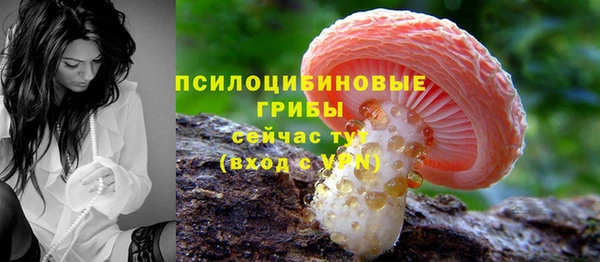 прущие грибы Алексин