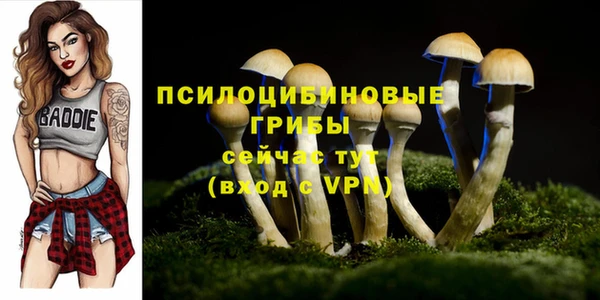 прущие грибы Алексин