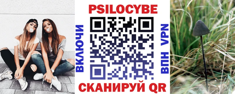 Псилоцибиновые грибы прущие грибы цена Бирюч