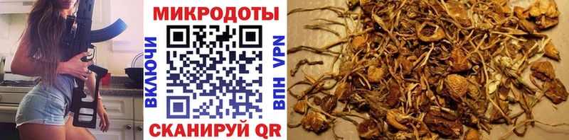 Галлюциногенные грибы мухоморы Бирюч